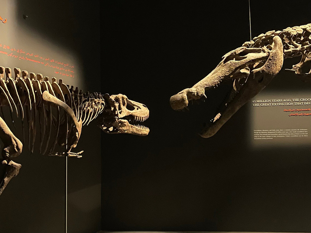 Dubai Crocodile Park-迪拜必去景点