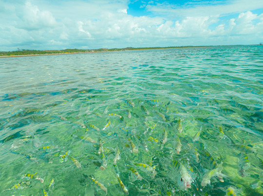 Rota Alagoas Turismo-Maceio必去景点