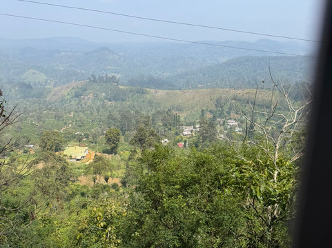 SD Sri Lanka Rundreisen-Hambantota必去景点