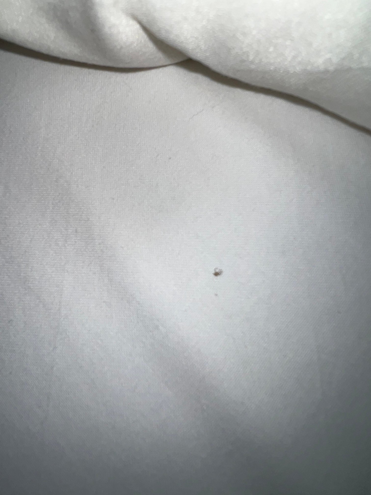 Hotel de Elderschans-官方