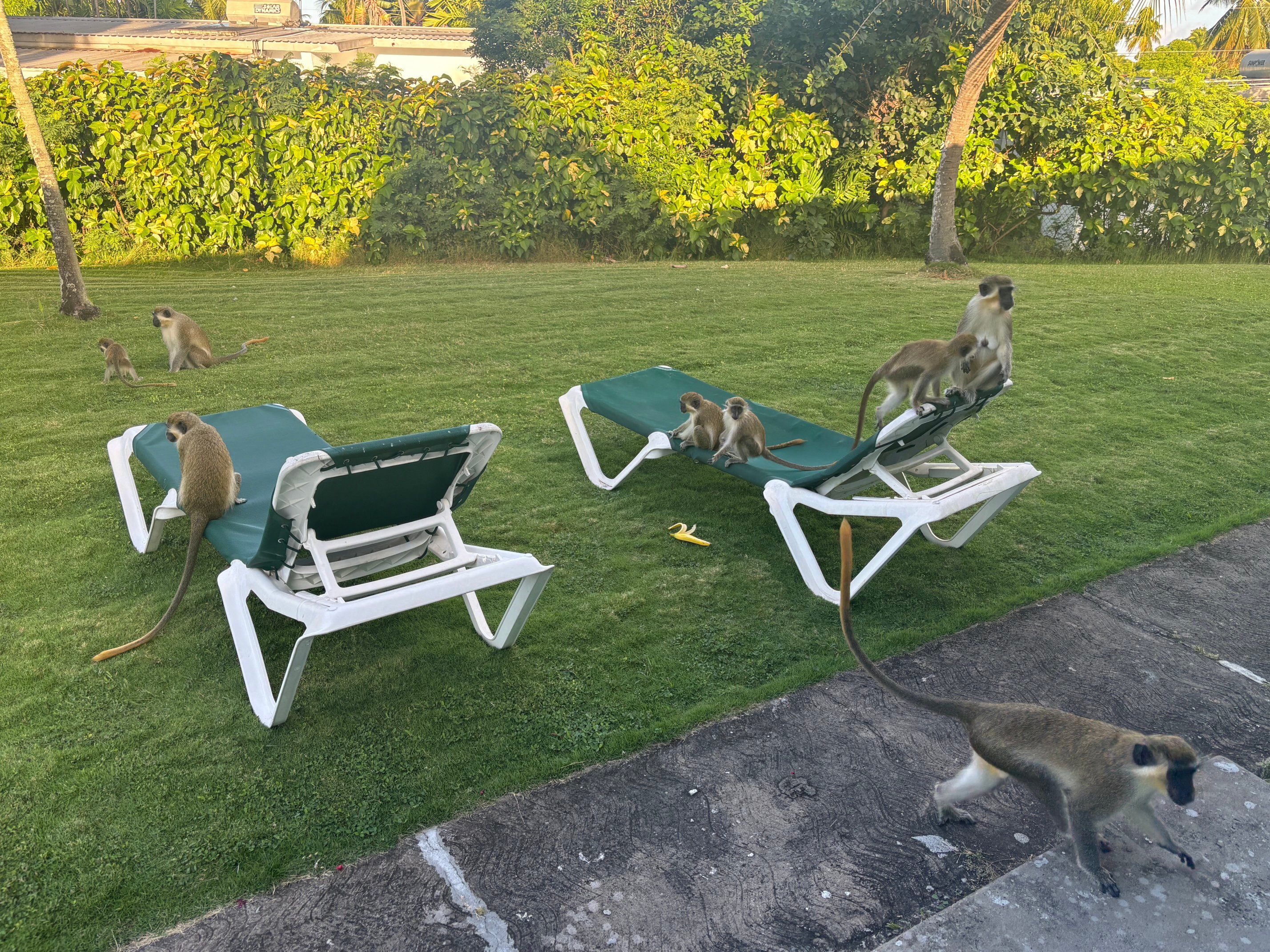 All Seasons Resort Europa-浴室