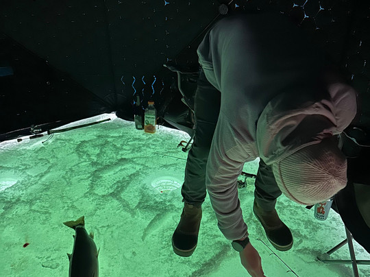 Elevated Fishing Adventures-太阳峰必去景点