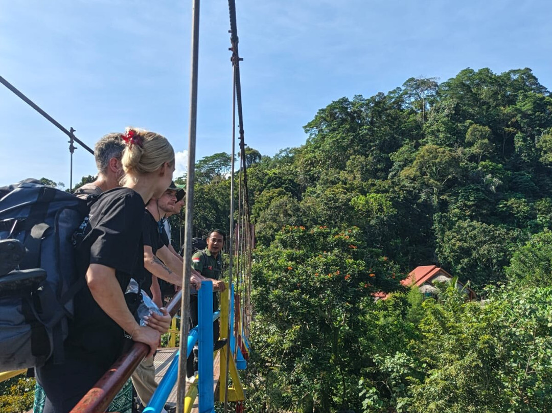 Sumatra Orangutan Explore-武吉拉旺必去景点