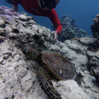 Go Local Cook Islands-堤堤卡维加必去景点