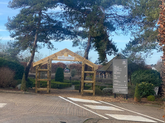 Norfolk Lavender-Heacham必去景点