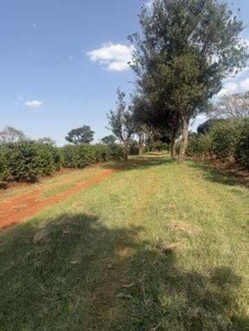 Fairview Coffee Estate-内罗毕必去景点