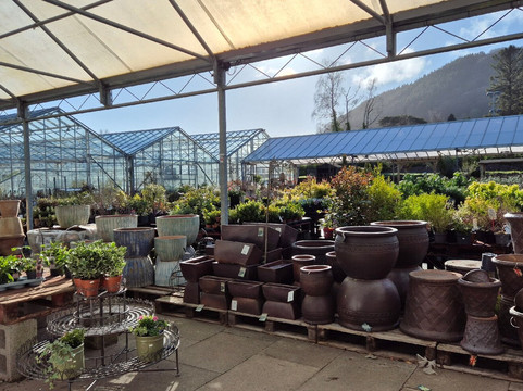 Abergavenny Garden Centre
