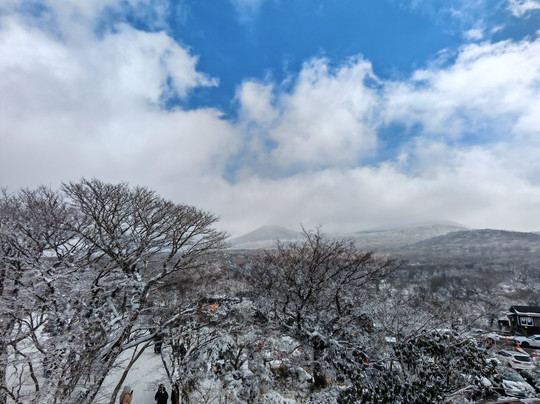 Jeju 1100 Altitude Wetland-西归浦市必去景点