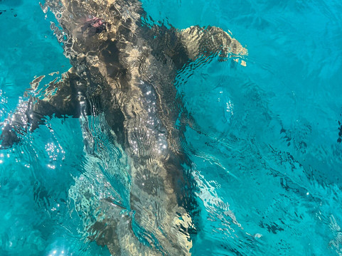 Gaadi Tours-康杜玛岛必去景点