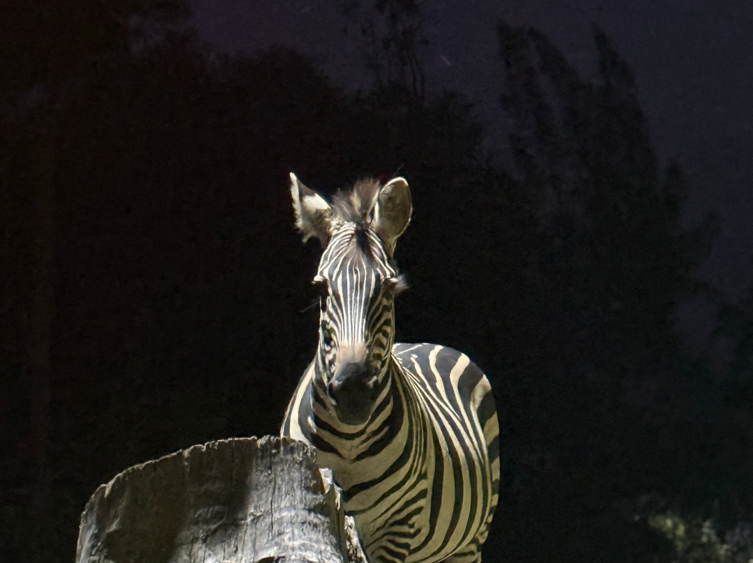 Kigezi Vima Safaris-Kibale National Park必去景点