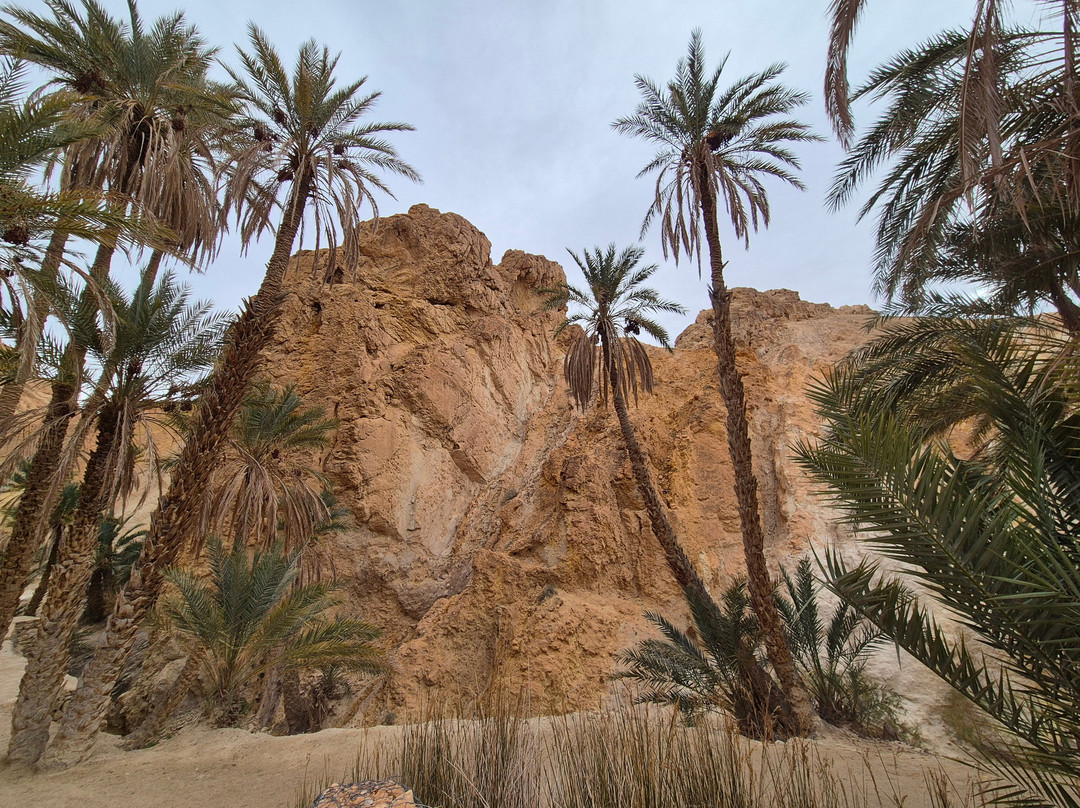 Agence de voyages Desert Rose-苏塞必去景点