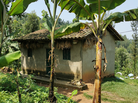 Kabendera Rwanda Hike-Rubavu必去景点