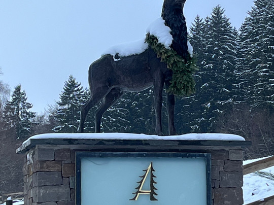 Hotel Waldhaus Ohlenbach主图