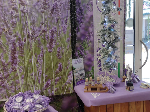 Lavanda del Lago-Moniga del Garda必去景点