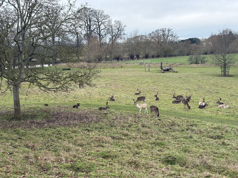 National Trust - Charlecote Park-沃里克必去景点