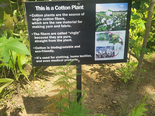 Sooriya Weaving-加勒必去景点