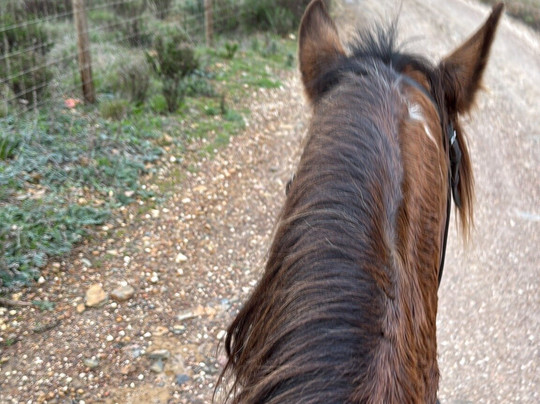 Horse Adventure Tours-Aljezur必去景点