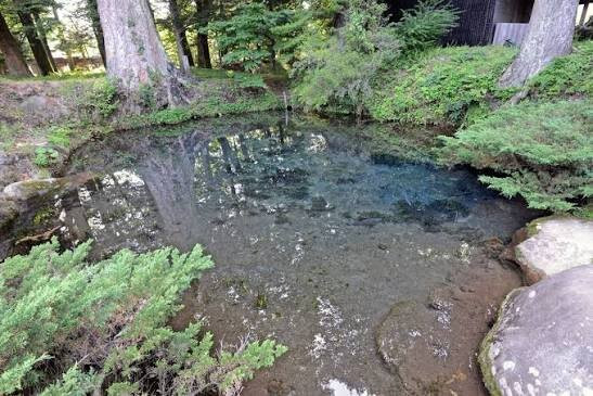 Hannoki Forest Museum / Sokonuke Pond-忍野村必去景点