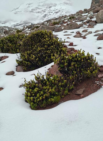 Volcán Chimborazo-Guaranda必去景点