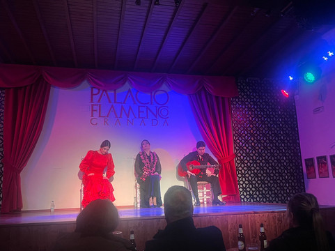 Palacio Flamenco Granada-格拉纳达必去景点