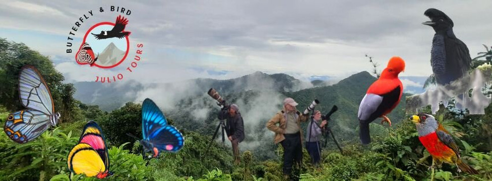 Butterfly and Birdwatching Tours-Nanegal必去景点