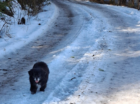 恩斯曼高山旅馆主图