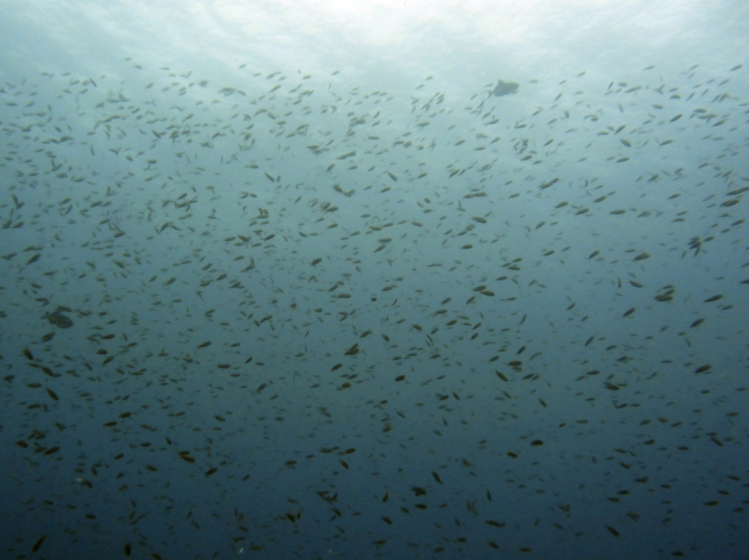 Aqua Ventures-瓦塔木必去景点