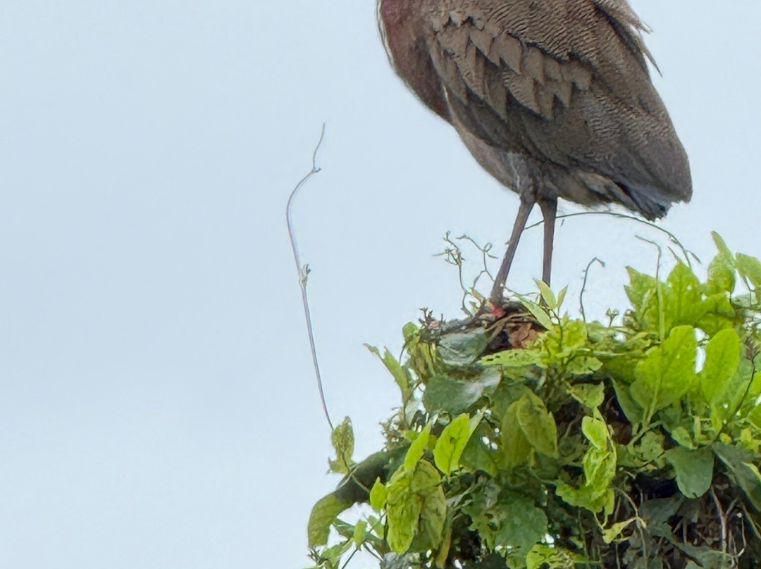 Rudy's Tours-巴拿马城必去景点