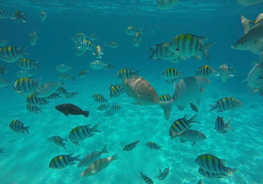 Boss Dhow-Kendwa必去景点