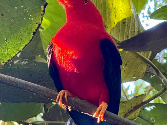 Jaguarundi Travel-波哥大必去景点