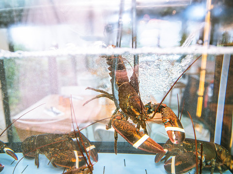 La Côte Et L'arête