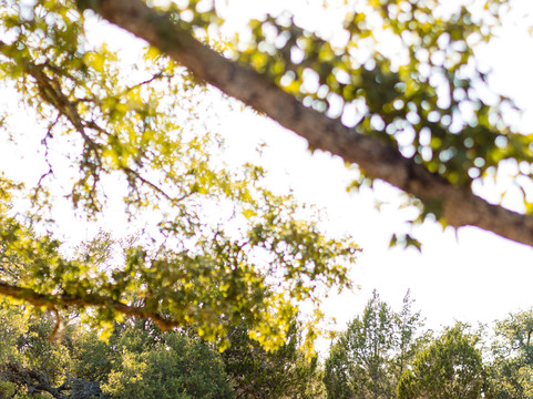 露西营旅馆主图