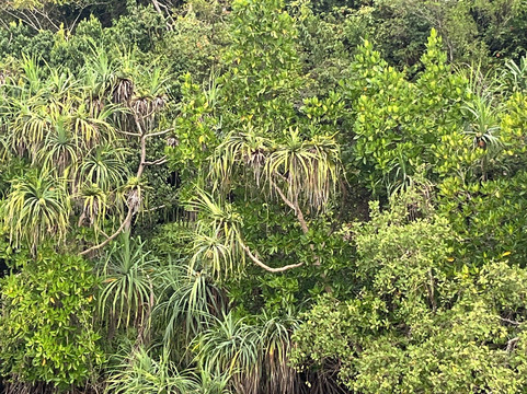 Sri Lanka Holidays Our Way-克拉必去景点