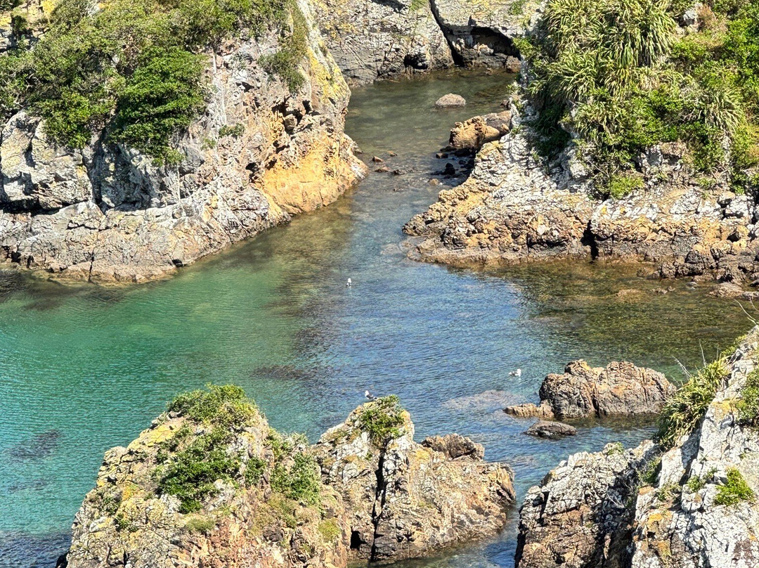 East By West Ferries-惠灵顿必去景点