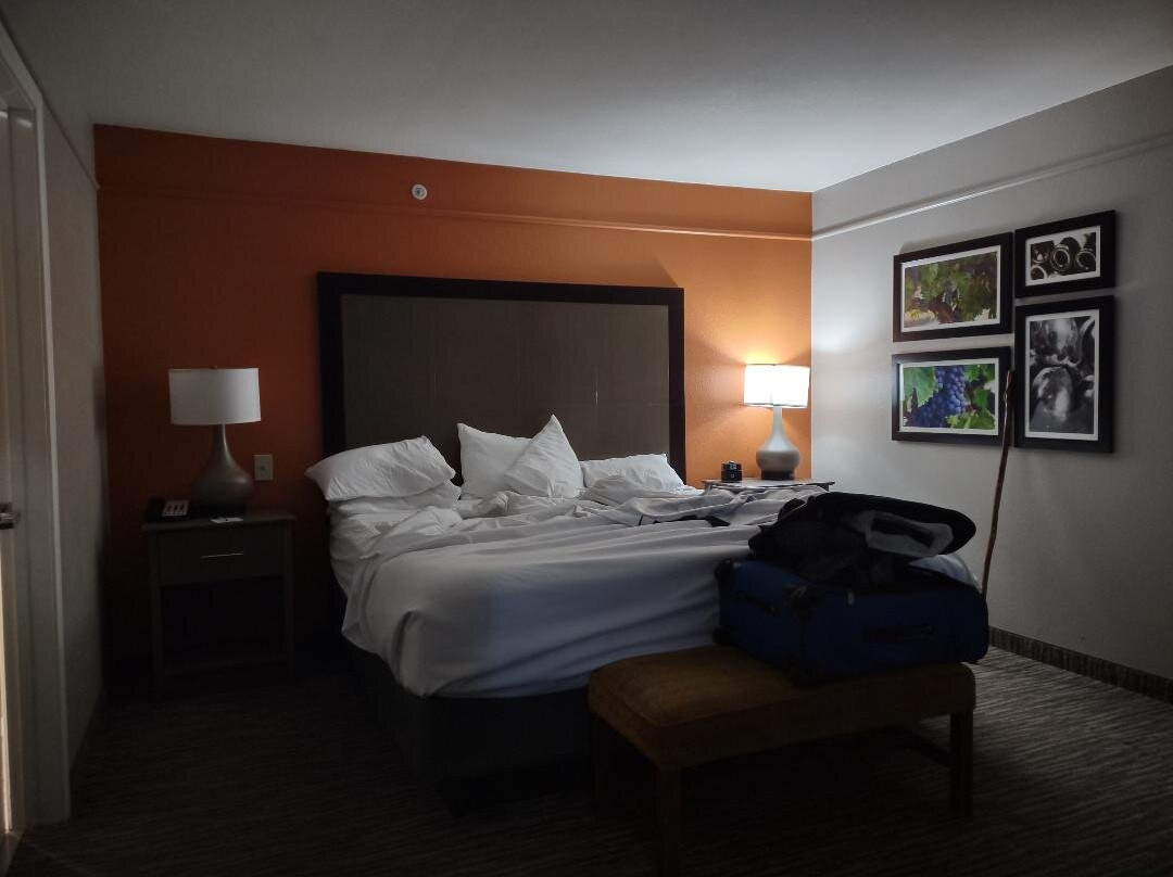 弗雷德里克斯堡拉昆塔温德姆套房酒店主图