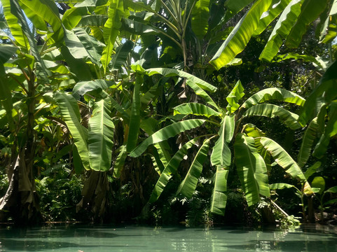 NATIVOS JALAPÃO-Palmas必去景点