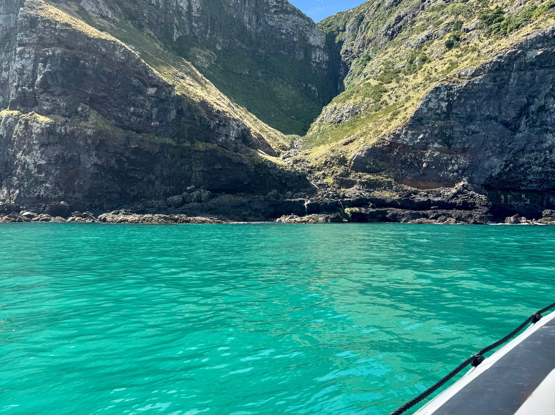 Ecoseaker Dolphin Swimming & Harbour Cruises-阿卡罗阿必去景点