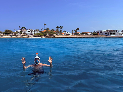 Private Snorkeling Aruba-棕榈/鹰海滩必去景点