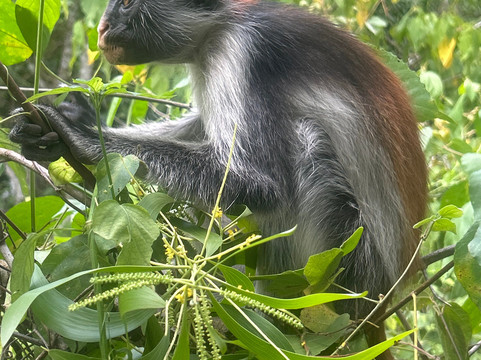 Eden Tours and Travel-桑给巴尔岛必去景点