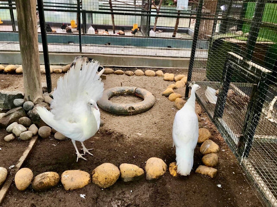 阿斯顿井里汶酒店及会议中心主图