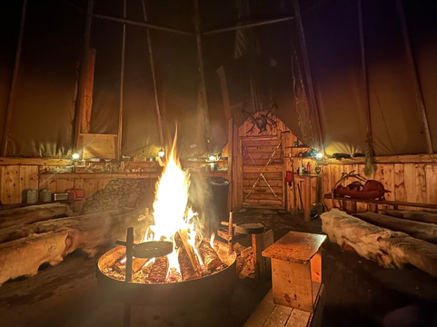 北极驯鹿体验之旅－一日游-特罗姆瑟必去景点