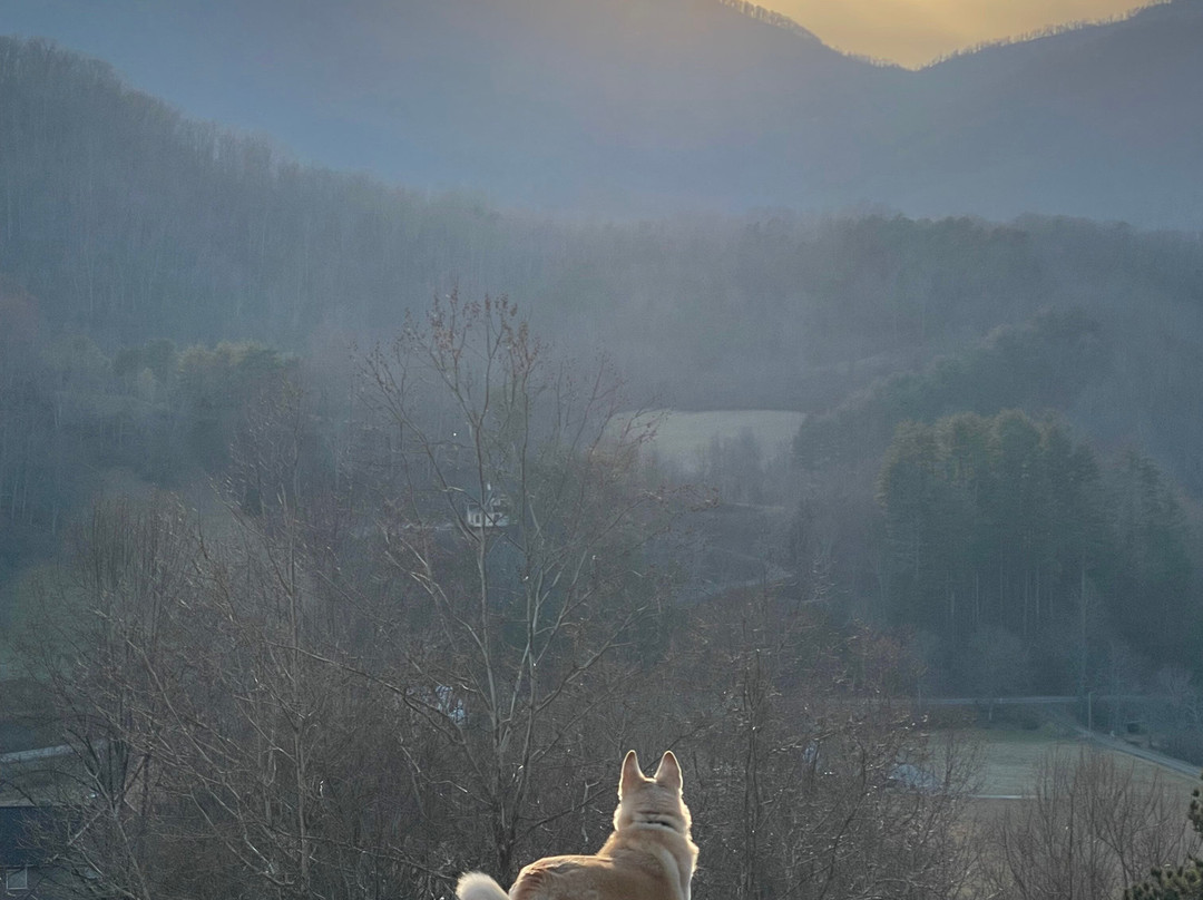 怀尔德贝里旅馆主图