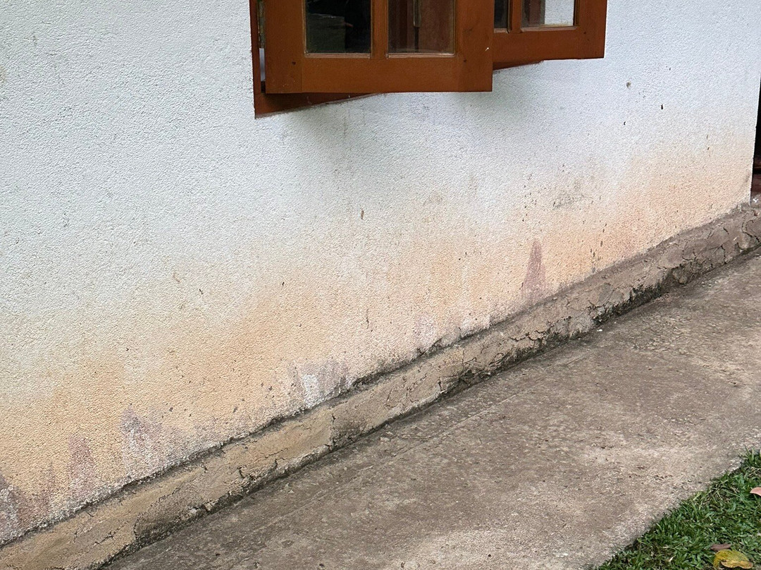 巨人的森林主图