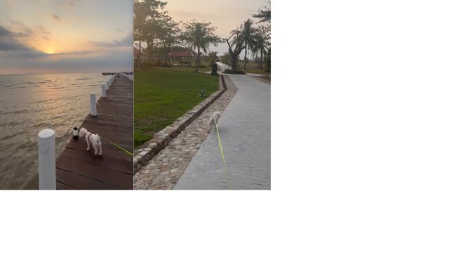 雨树海滩水疗度假酒店-官方