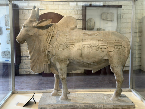 Amaravathi Archaeological Museum-Amaravathi必去景点