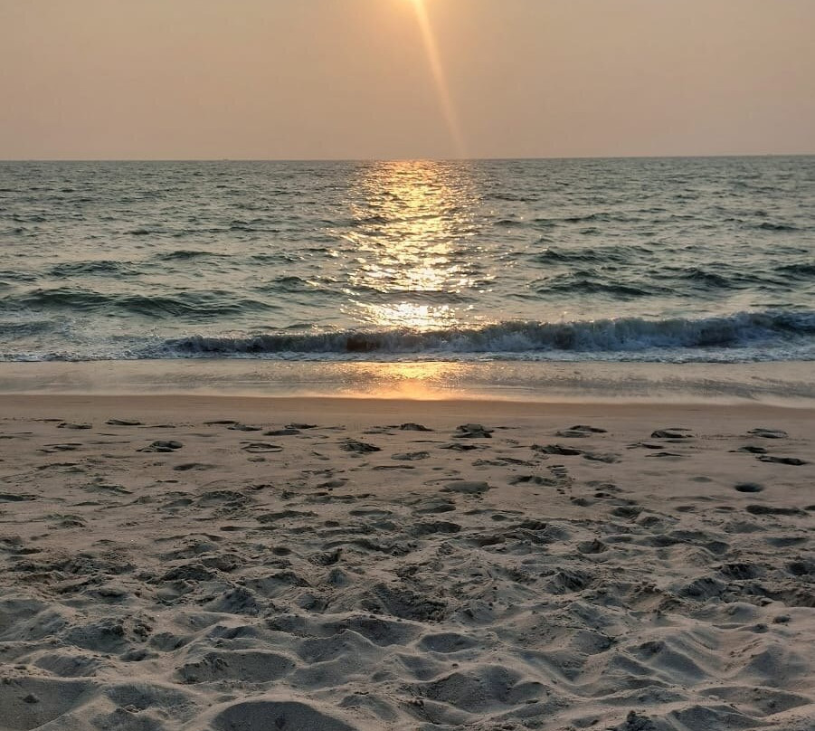 Marari Beach-Mararikulam必去景点
