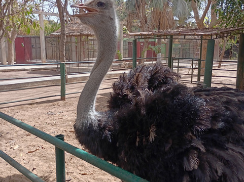 Parc Exotique Du Sénégal-恩加帕鲁必去景点