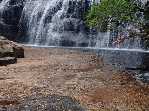 Nikk Adventurous-Wenceslau Braz必去景点