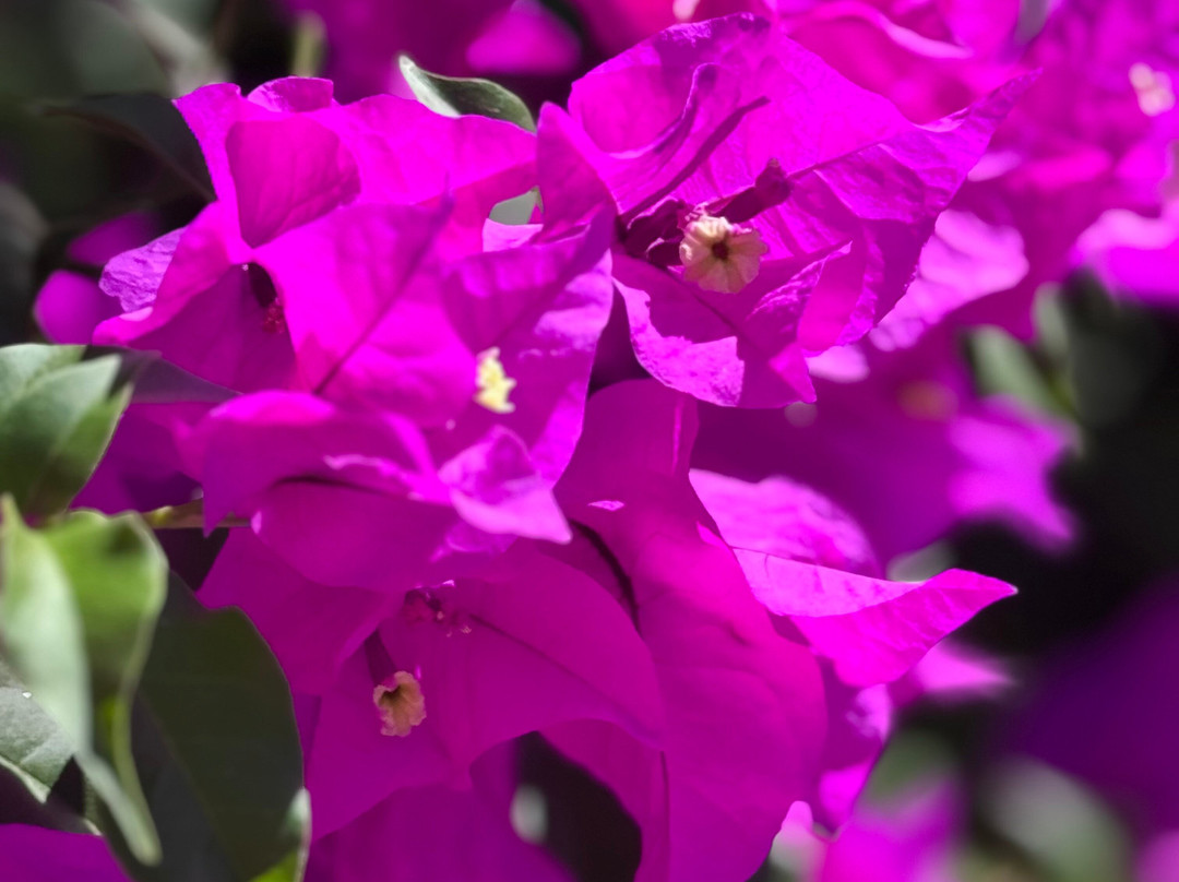 Sibou Spa-塔马林多必去景点