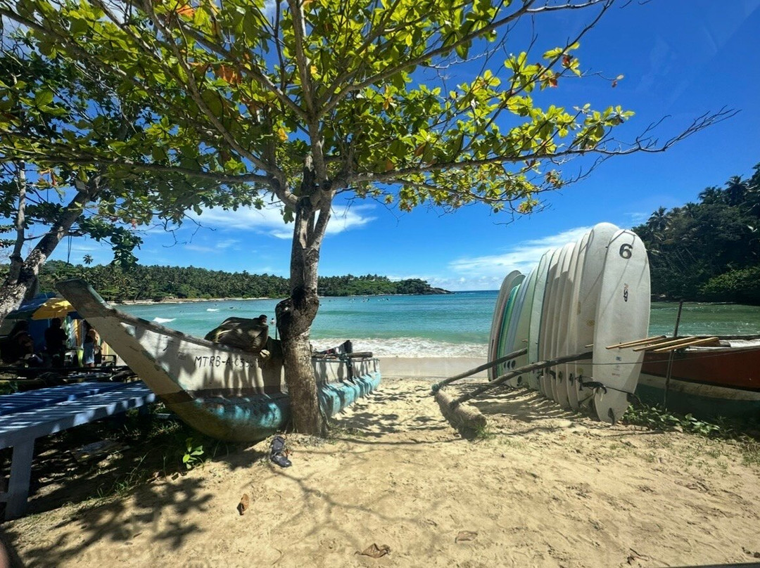 Shenandoah Travels Sri Lanka-佩拉德尼亚必去景点